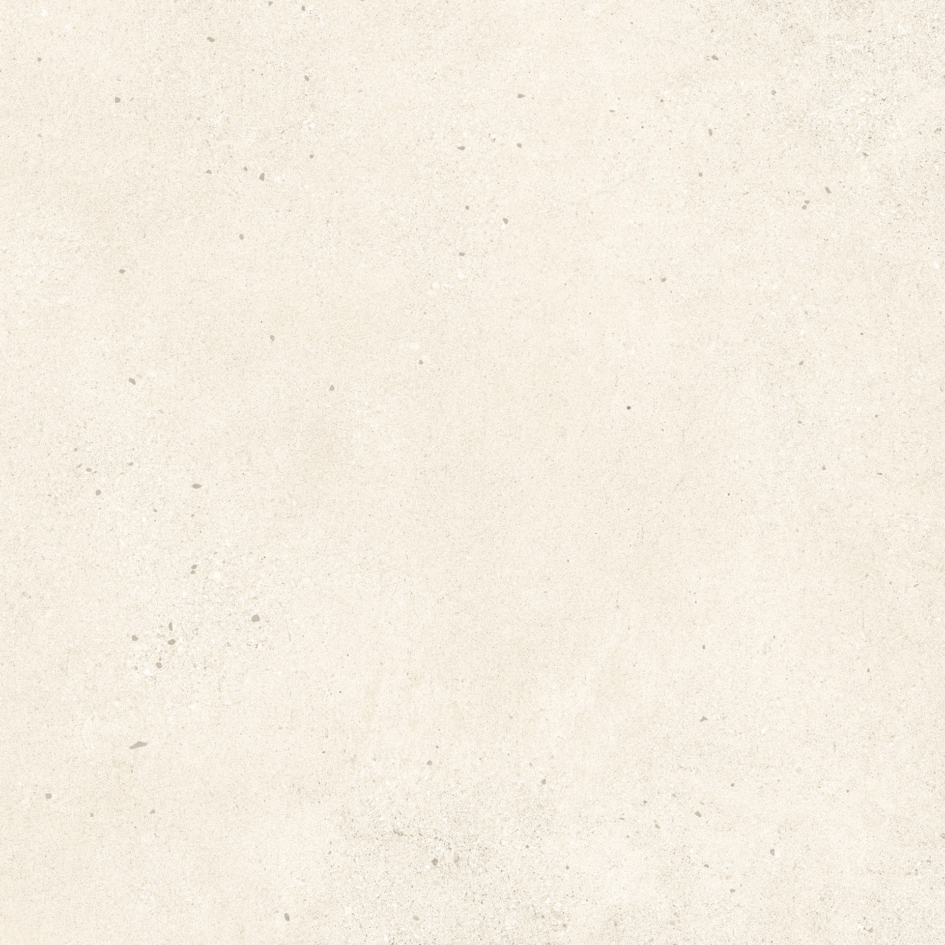 BRIGHTON LIGHT_60x60